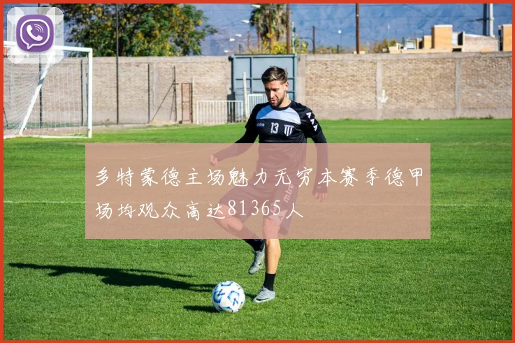 多特蒙德主场魅力无穷本赛季德甲场均观众高达81365人